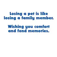 White sheep dog with black collar, blue tag on red foreground and blue bay in background